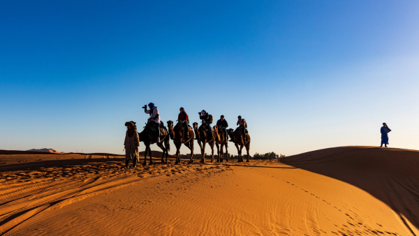 Desert Safari Dubai with BBQ Dinner & Live Shows - Image 6
