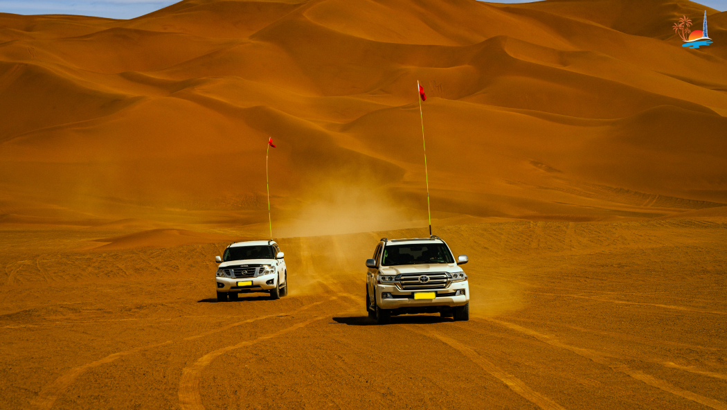 Desert Safari Evening Tour - Image 3