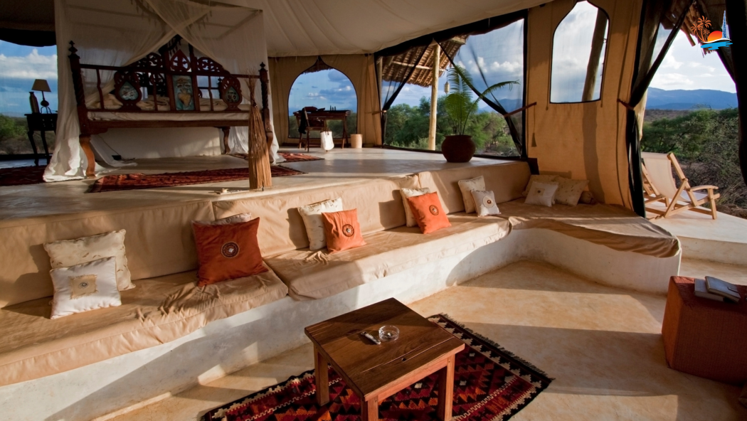 Desert Safari Evening Tour - Image 5