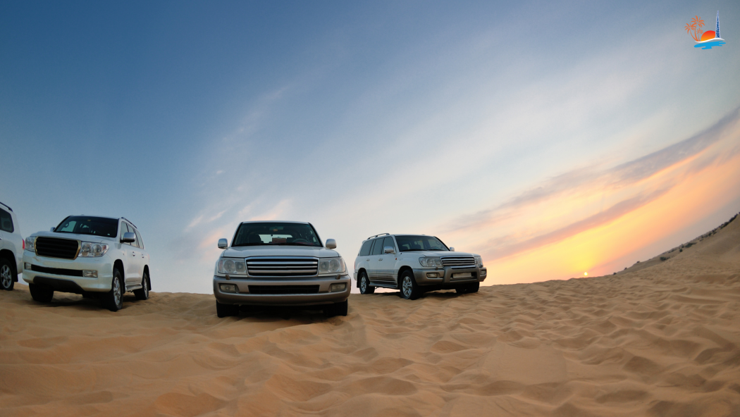 Morning Desert Safari Adventure